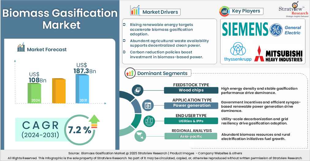 biomass gasification market insights
